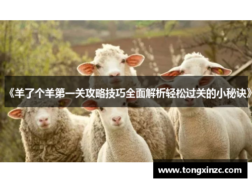 《羊了个羊第一关攻略技巧全面解析轻松过关的小秘诀》